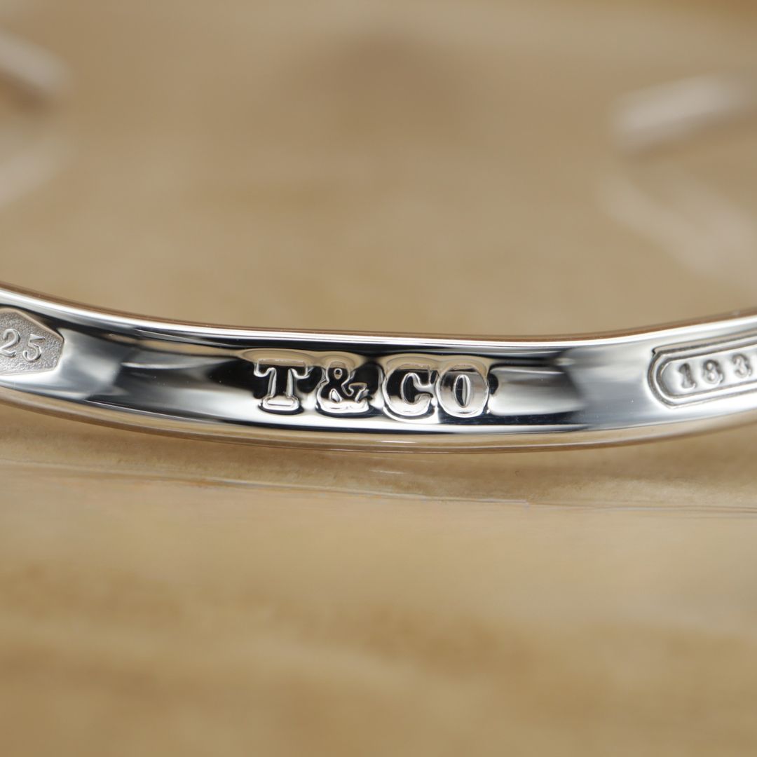 TIFFANY&Co. Choker Sv925