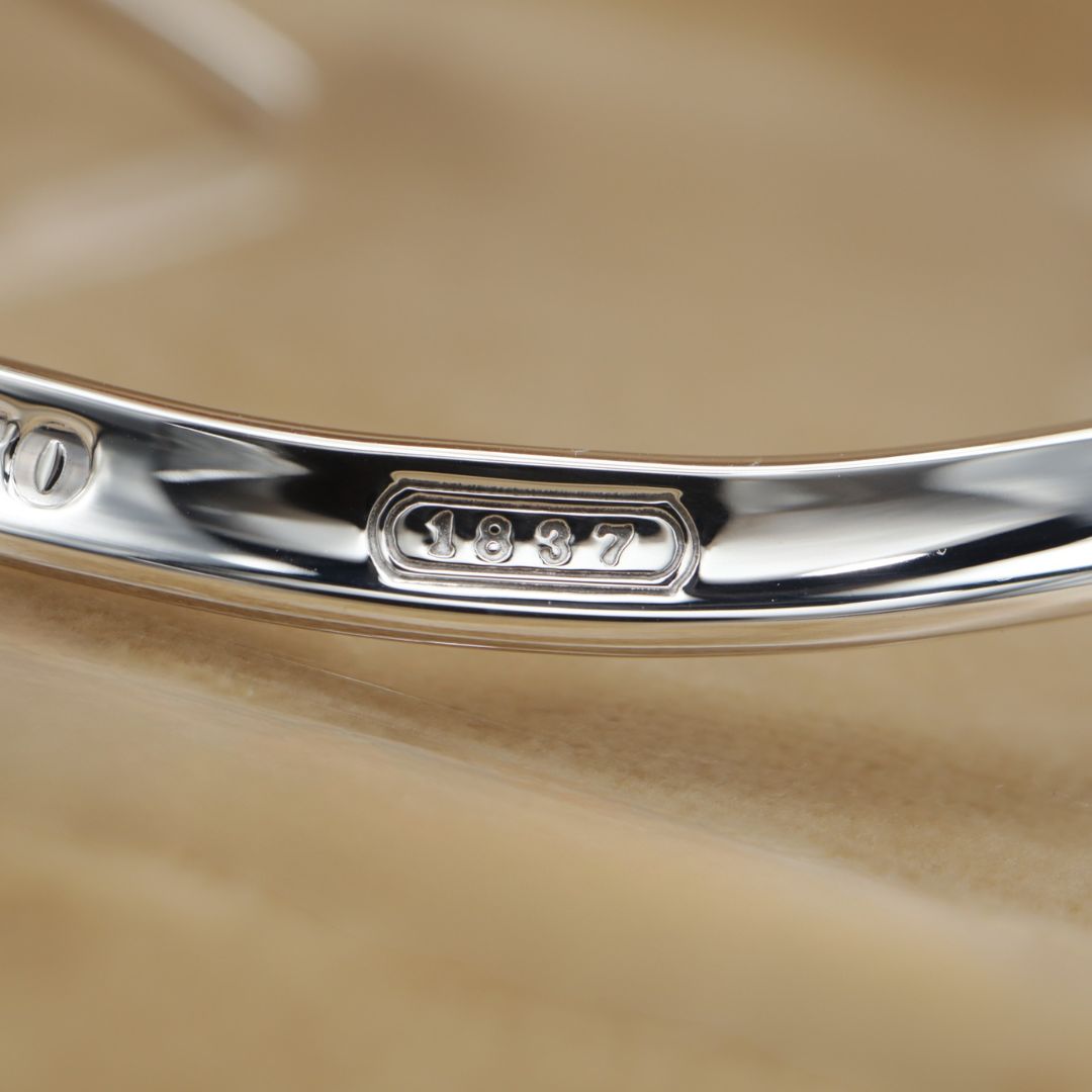 TIFFANY&Co. Choker Sv925