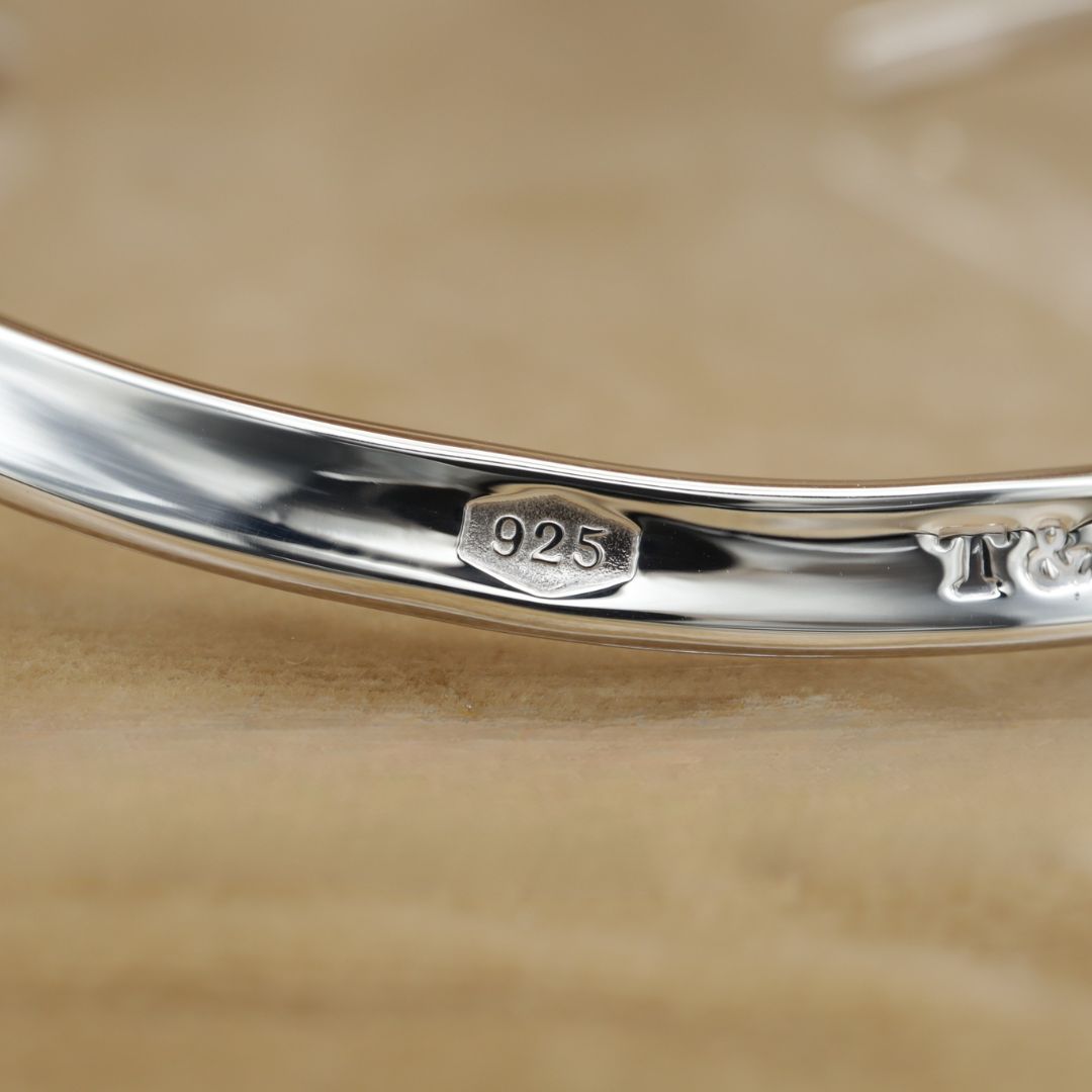 TIFFANY&Co. Choker Sv925