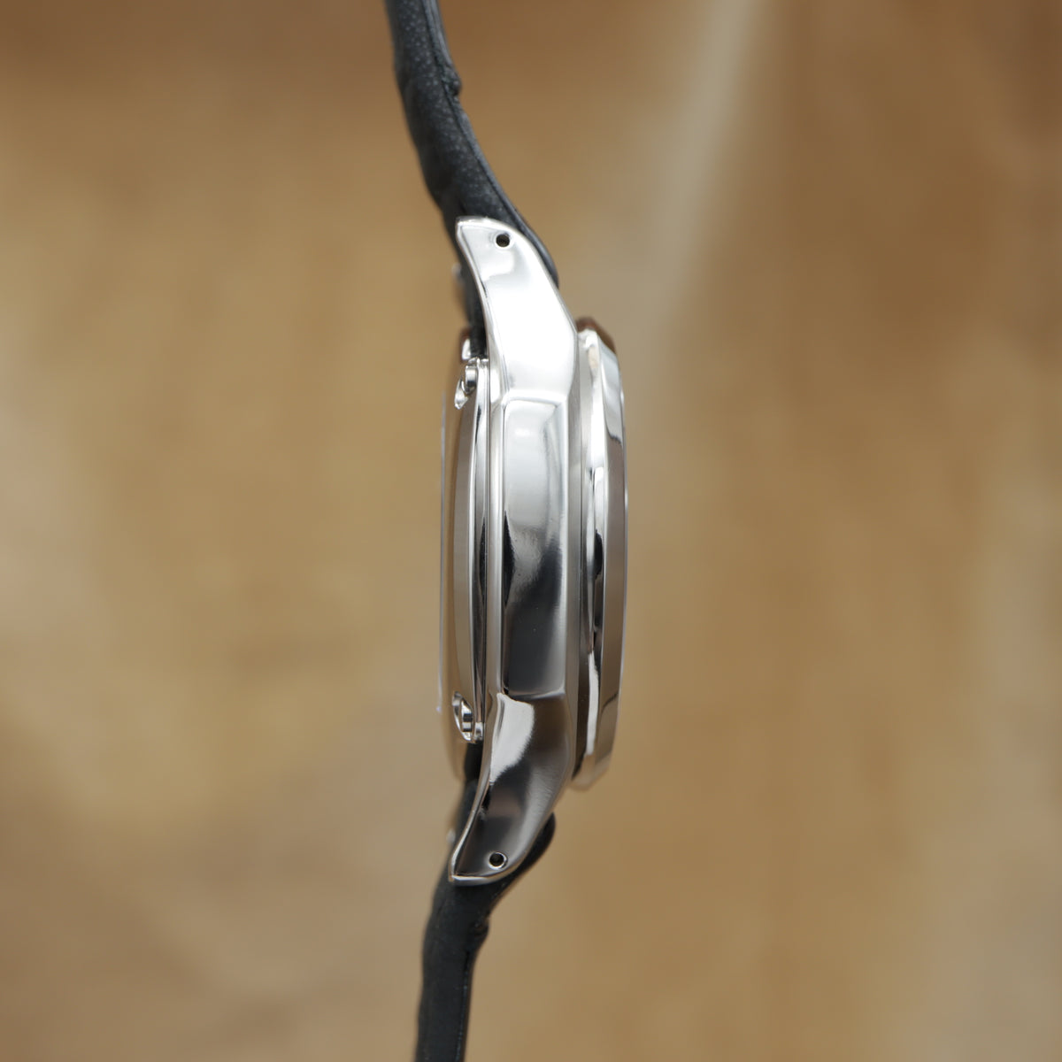 SEIKO BRIGHTZ Enamel Titunium SAGL001/8L21-0AA0 <2004年>